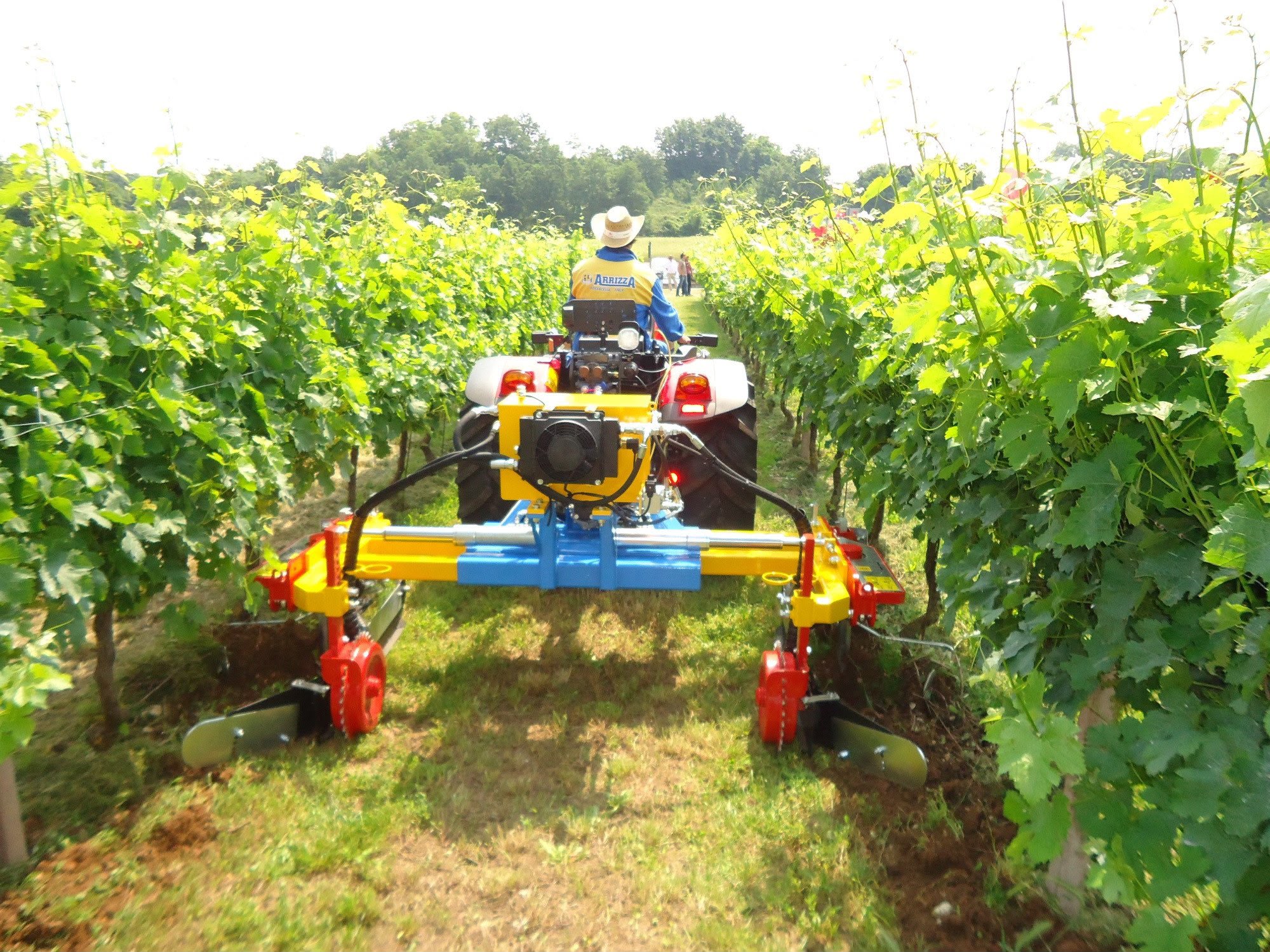 Attrezzatura Arrizza nel vigneto
